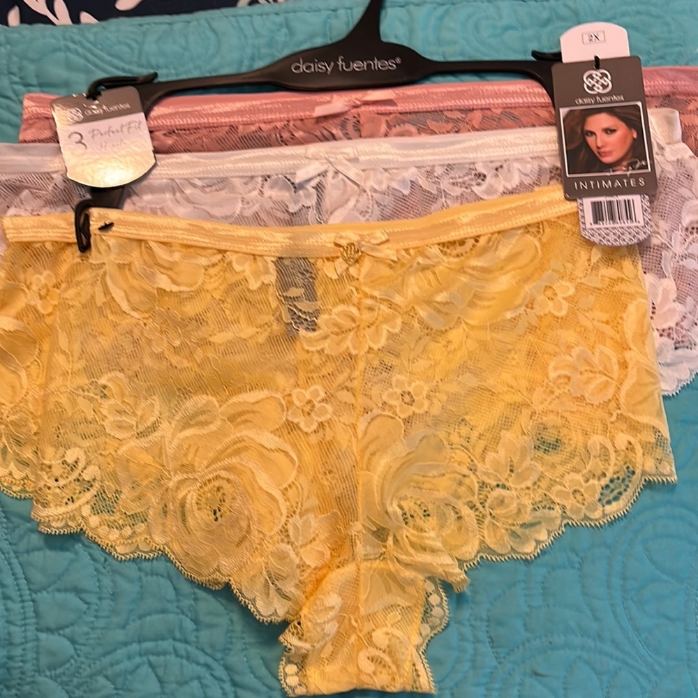 NWT Daisy Fuentes 3 pack perfect fit lace hipsters.